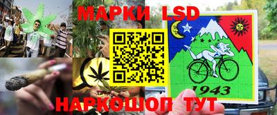 индика Конаково