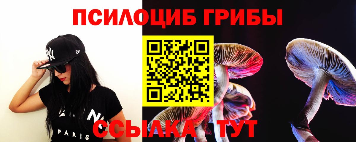 Галлюциногенные грибы Cubensis Корсаков